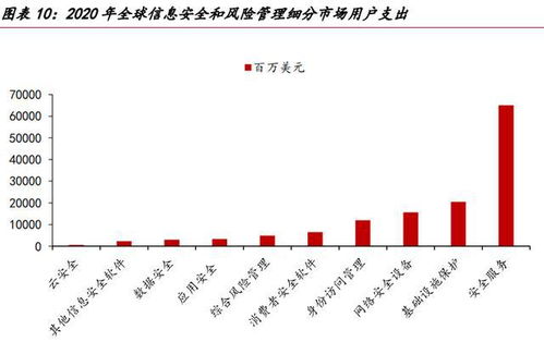 網絡安全的未來看服務 網絡與信息安全軟件開發的演進之路
