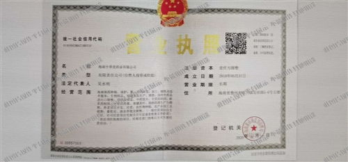 復合型人才戰場 營銷策劃員與企業咨詢崗的魅力對撞